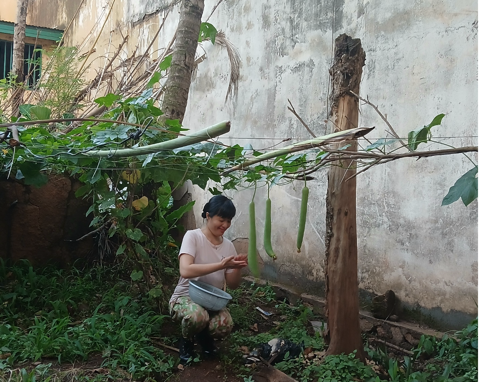 /UploadStore/admin/251223 Trung phi/1.3.png